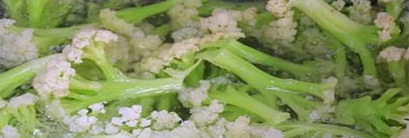 焯煮、油炸設備